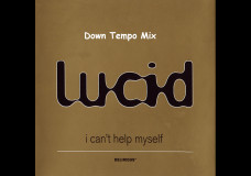 I Cant Help Myself (Downtempo Mix)