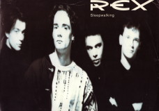 Rex – Walking In My Sleep